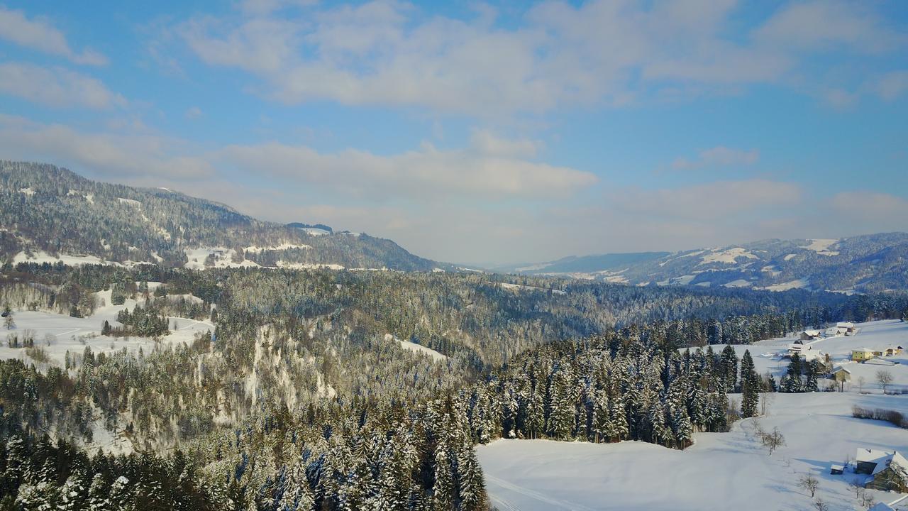 البيرشوينده Appartment Bodensee المظهر الخارجي الصورة